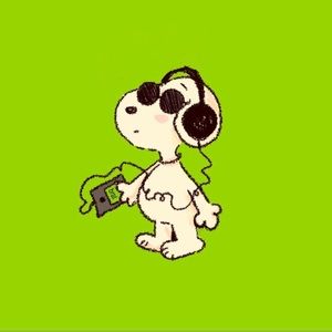 Meet your Posher, Riley